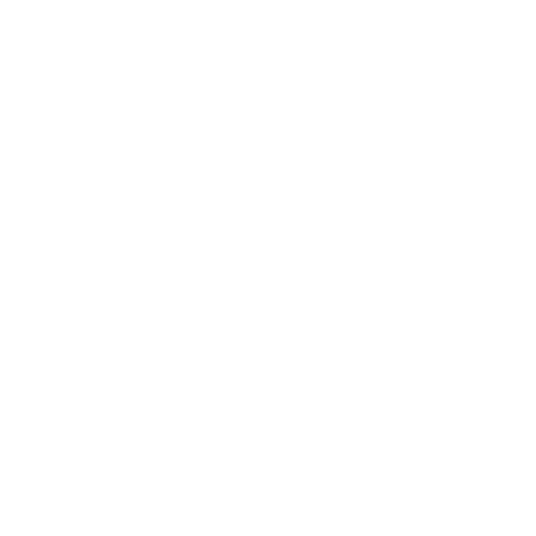 apollo_industrie